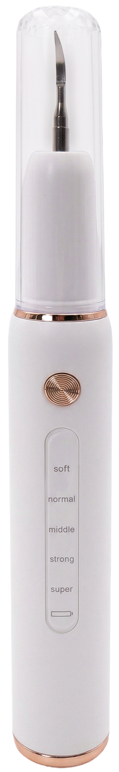 Купить SenCiciMen Electric Teeth Cleaner (SCMT4)