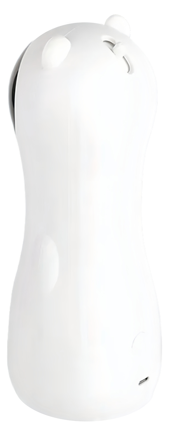 Купить Laser Light Cat Toy (XMW1) 