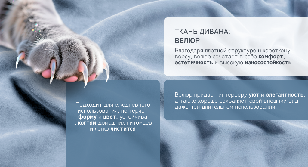 6930878782163 (7).png