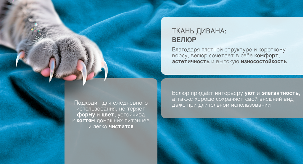 6930878782156 (7).png