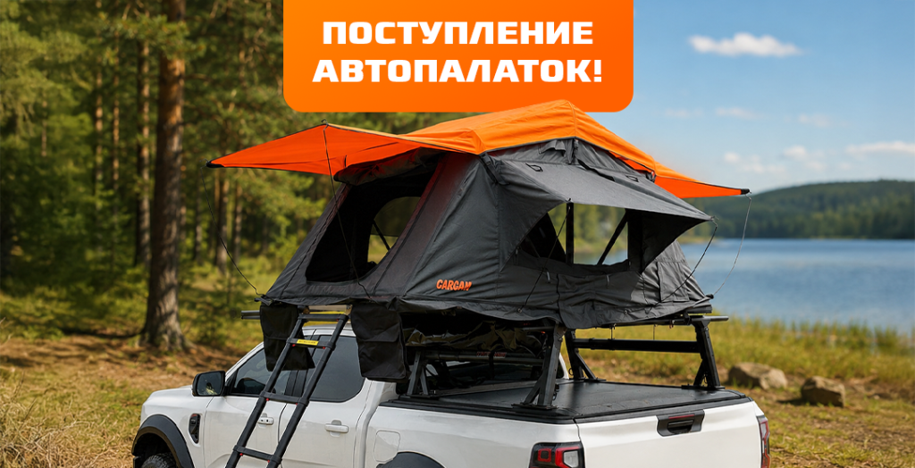 Поступление автопалатков