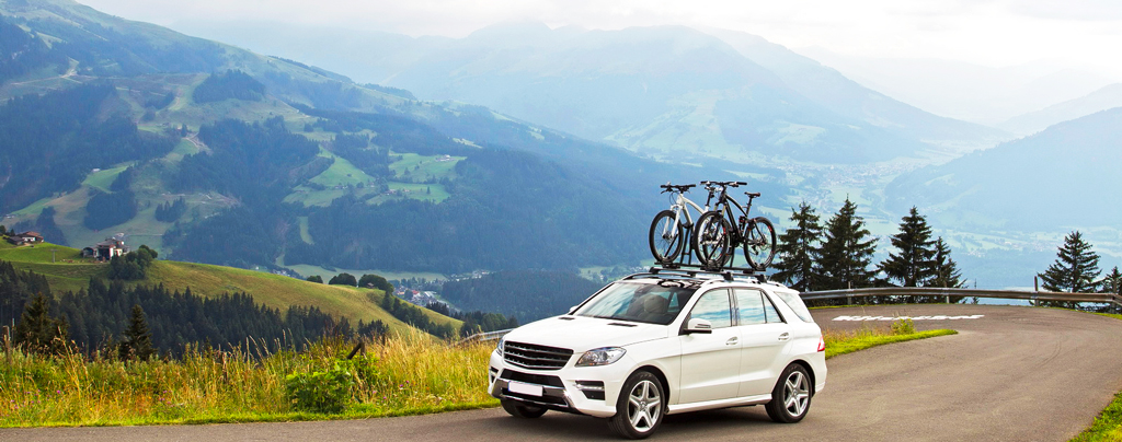 CARCAM BIKE CARRIER 5668