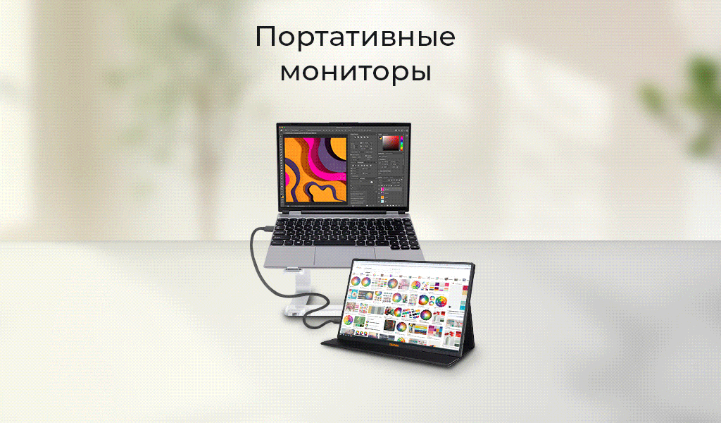 портативный монитор