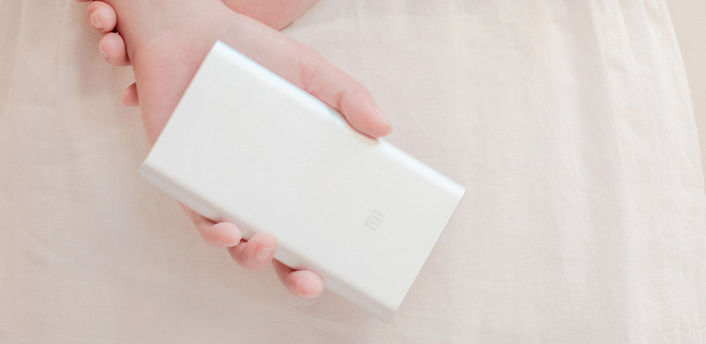 Аккумулятор Xiaomi Mi Power Bank 2 10000mAh silver - Емкость 10000 мАч