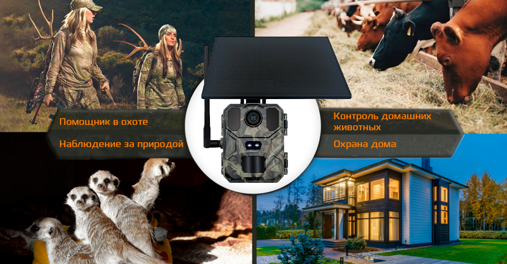 Suntek Mini900Pro_1.jpg