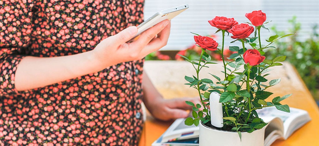 Анализатор почвы и освещенности Xiaomi Smart Flower Monitor - Приложение для Android и iOS