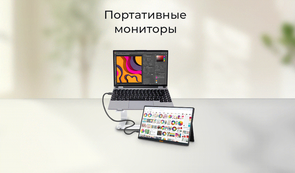 портативный монитор