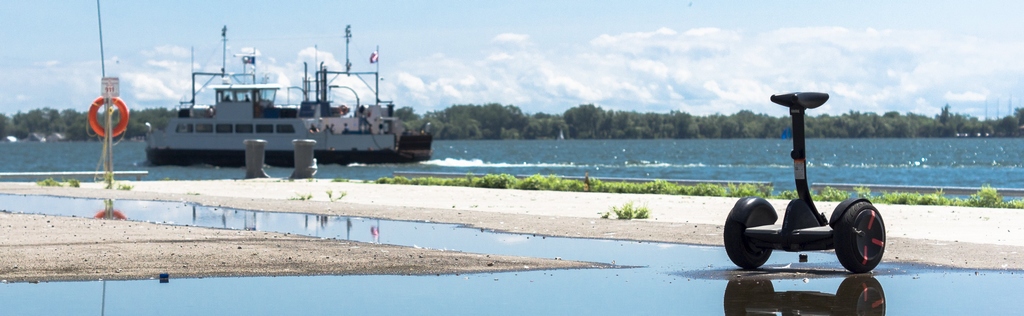 без присмотра