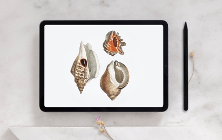 Купить CARCAM Smart Pencil KD100 Black