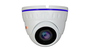 Купить Муляж CARCAM CAM-1889P