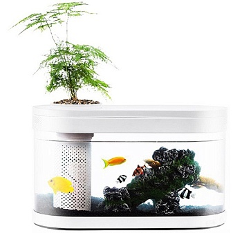 Купить Xiaomi Descriptive Geometry Amphibious Ecological View Fish Tank (HF-JHYG 001)
