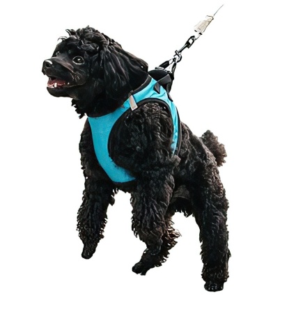 Купить Xiaomi PE073 M