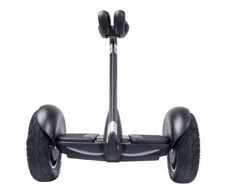 Купить мини-сегвей Xiaomi Ninebot mini S - Black