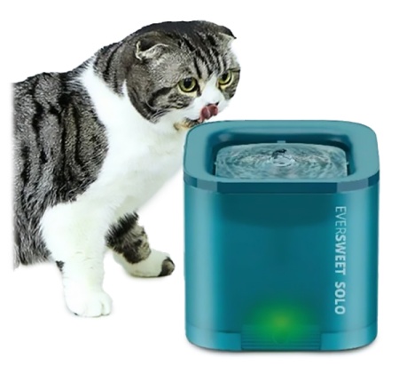 Купить Xiaomi Eversweet Solo Green