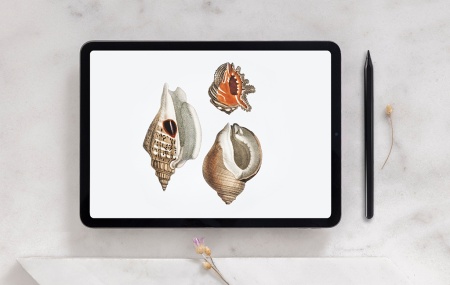 Купить CARCAM Smart Pencil ID730 Black