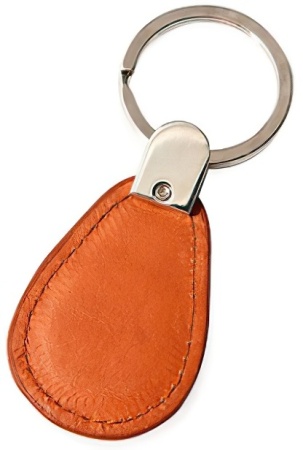 Купить Заготовка ключ-брелок IL-70 MK стандарта Mifare