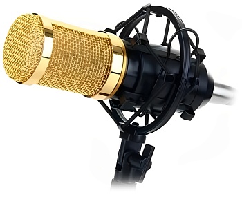 Купить Andowl Professional Condenser Microphone (MIC7)