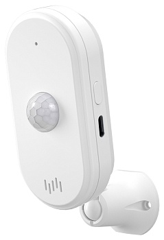 Купить CARCAM Tuya WIFI Motion Sensor with Alarm Sound 812WT