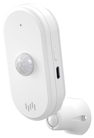 Купить CARCAM Tuya WIFI Motion Sensor with Alarm Sound 812WT