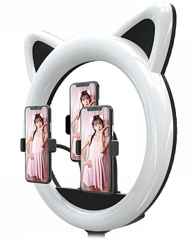 Купить Кольцевая лампа Ring Light Cat 32cm (без штатива)