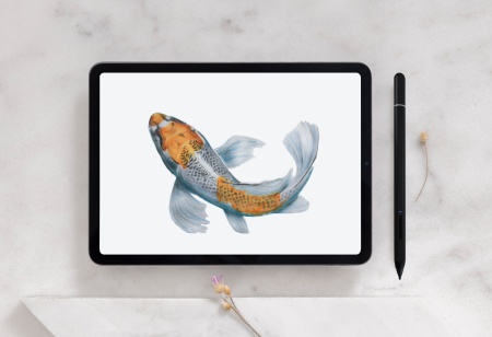 Купить CARCAM Smart Pencil SD0113 Black