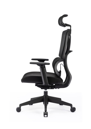 Купить Xiaomi Ergonomic Office Chair (XMC1130E) Black