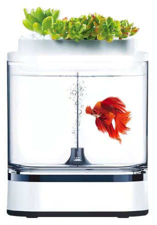 Купить Xiaomi Geometry Mini Lazy Fish Tank Pro C300