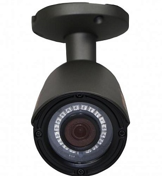 Купить Муляж CARCAM CAM-802