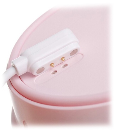 Купить Xiaomi 17PIN Star Frut Bottle 400ml Pink