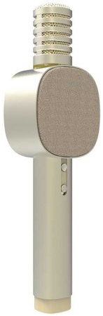 Купить Xiaomi Otaru HoHo Sound Mic A3 Gold