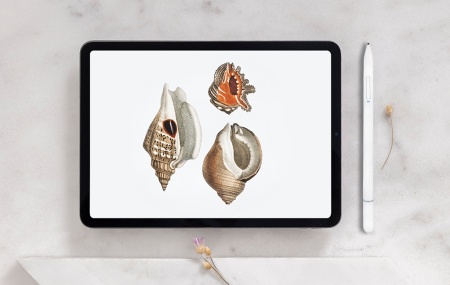 Купить CARCAM Smart Pencil SD0113 White