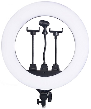 Купить Кольцевая лампа ZB-R18 Ring Light 46cm (без штатива)
