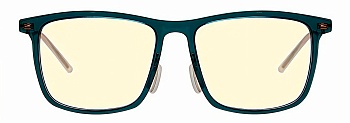 Купить Xiaomi Turok Steinhardt Anti-Blue Light Goggles Pro (FTR036-2521) Dark Blue