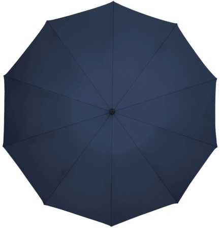 Купить Xiaomi Zuodu Full Automatic Umbrella Led Blue