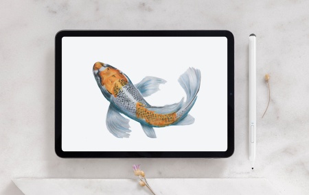 Купить CARCAM Smart Pencil SD0105 White 