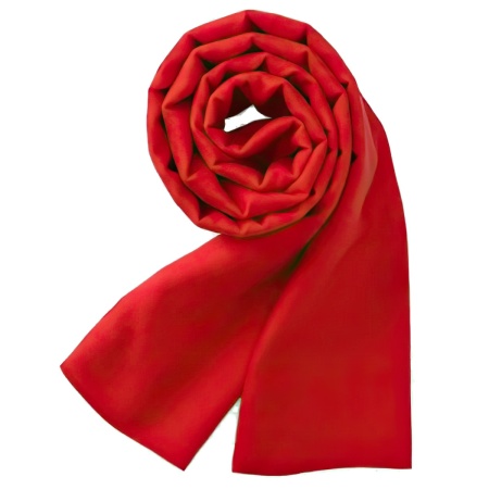 Купить Xiaomi PMA Graphene Heating R10 Red