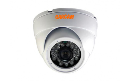 Купить Муляж CARCAM CAM-820