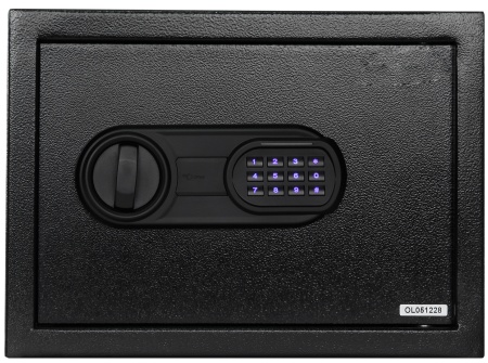 Купить CARCAM Electronic Safe Box (XM25EIS)