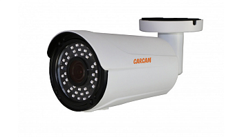Купить Муляж CARCAM CAM-700