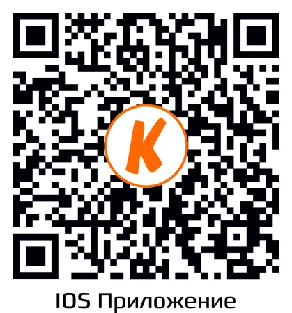 Купить IP-камеру CARCAM CAM-4897SDR (2.8mm)