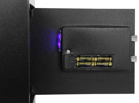 Купить CARCAM Electronic Safe Box (XM30EIS)