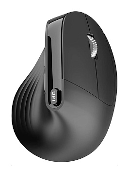 Купить PINKCAT LED Wireless Vertical Mouse (M012) Black 