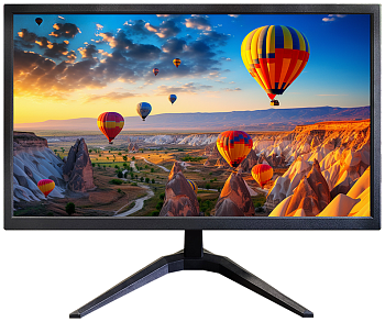 Купить CARCAM CCTV Monitor (CC22AW)