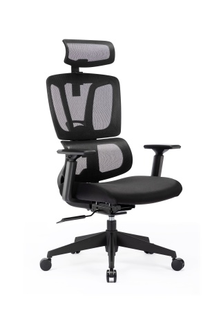 Купить Xiaomi Ergonomic Office Chair (XMC1130E) Black