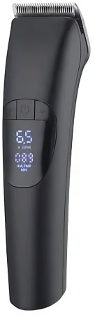 Купить Xiaomi Bomidi L1 Black