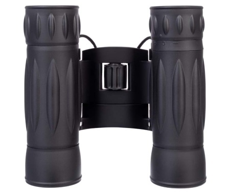 Купить Levenhuk Atom 10x25