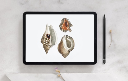 Купить CARCAM Smart Pencil K611 Black