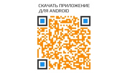 Часы CARCAM SMART WATCH DZ09 Gold