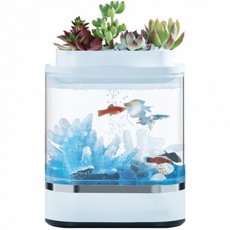 Купить Xiaomi Descriptive Geometry Mini Lazy Fish Tank (HF-JHYG 005)