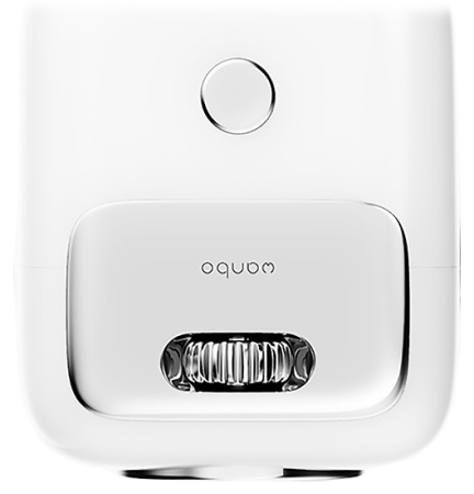 Купить Xiaomi Wanbo Projector T2R Max